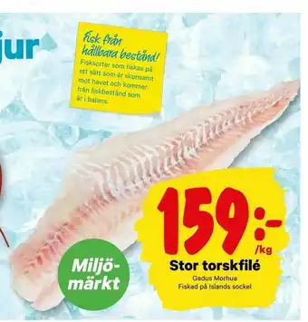 City Gross Stor torskfilé erbjuda
