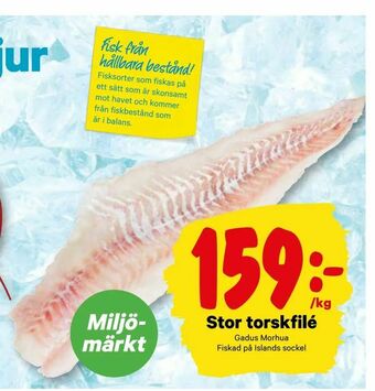City Gross Stor torskfilé erbjuda