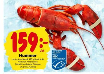 City Gross Hummer erbjuda