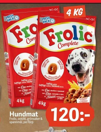 DollarStore Hundmat erbjuda