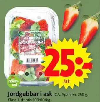 ICA Supermarket Jordgubbar i ask erbjuda