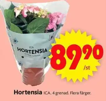 ICA Supermarket Hortensia erbjuda