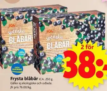 Frysta blåbär