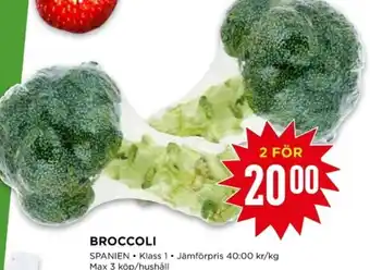 Willys BROCCOLI erbjuda