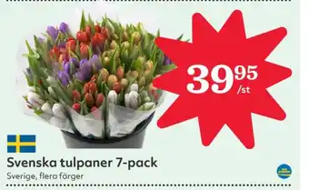 Hemköp Moyca blommor erbjuda