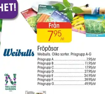 EKO Weibull fröpåsar erbjuda