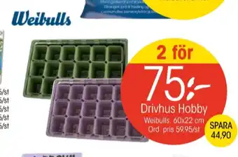 EKO Weibull minidrivhus erbjuda