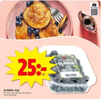 ICA Kvantum BLÅBÄR I ASK erbjuda
