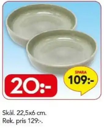 Bo Ohlsson Skål 22,5x6cm erbjuda
