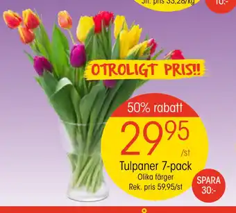 EKO Tulpaner 7-pack erbjuda