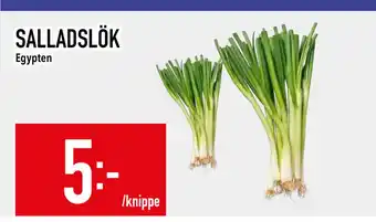 Matdax SALLADSLÖK erbjuda