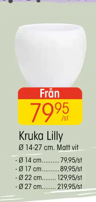 EKO Kruka Lilly erbjuda