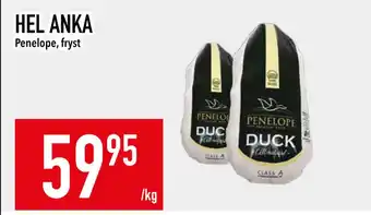 Matdax HEL ANKA erbjuda