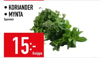 Matdax KORIANDER • MYNTA erbjuda