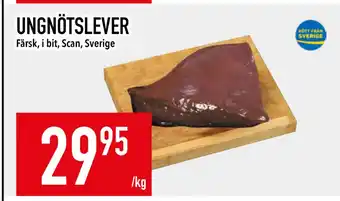 Matdax UNGNÖTSLEVER erbjuda