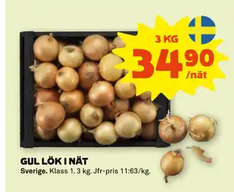 GUL LÖK I NÄT