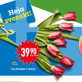 Willys TULPANER 7-PACK erbjuda