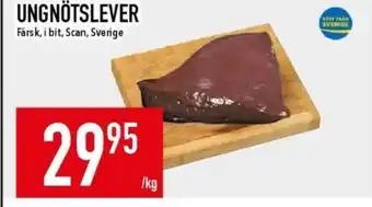 Matdax Scan ungnötslever erbjuda