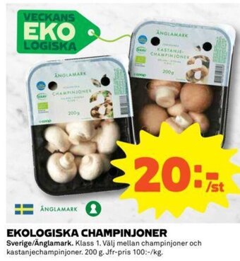 Coop Ekologiska Champinjoner erbjuda
