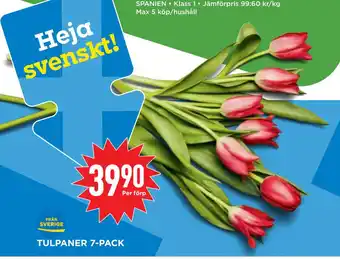 Willys Hemma TULPANER 7-PACK erbjuda