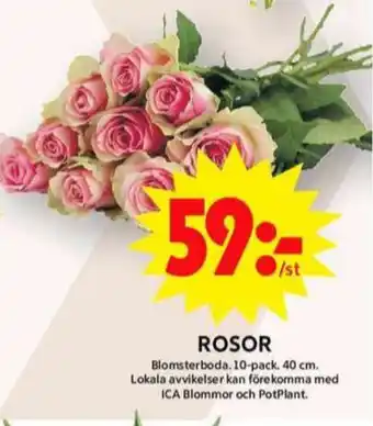 ICA Maxi Blomsterboda blommor erbjuda