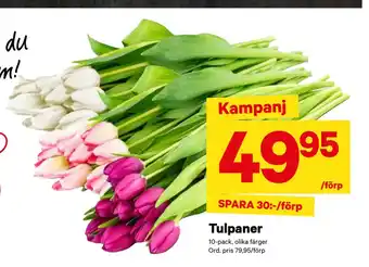 City Gross Tulpaner erbjuda