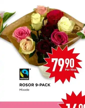 Willys ROSOR 9-PACK erbjuda