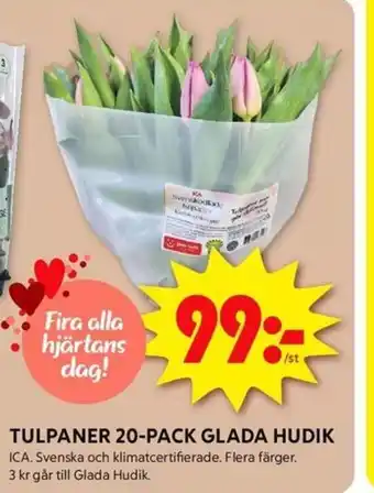 ICA Kvantum TULPANER 20-PACK GLADA HUDIK erbjuda