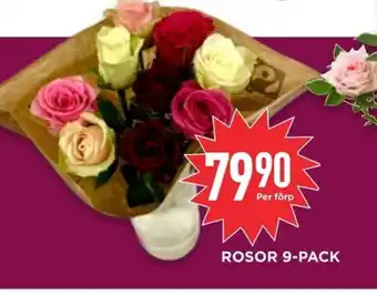 Willys Hemma ROSOR 9-PACK erbjuda