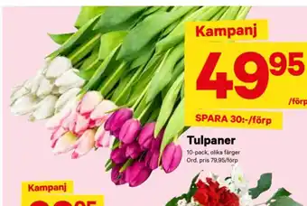 City Gross Tulpaner erbjuda