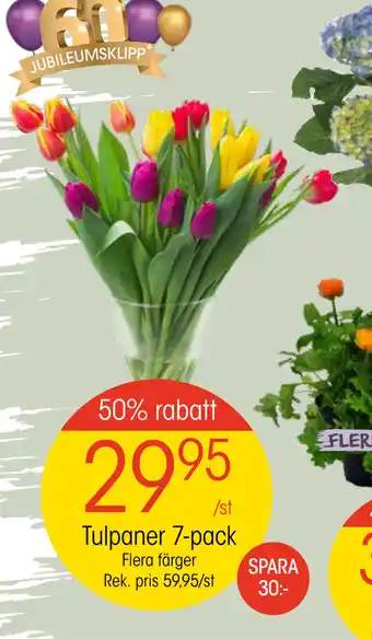 EKO Tulpaner 7-pack erbjuda