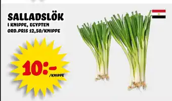 salladslök