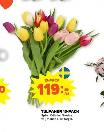Stora Coop TULPANER 15-PACK erbjuda