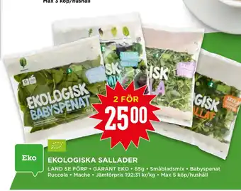 Willys EKOLOGISKA SALLADER erbjuda