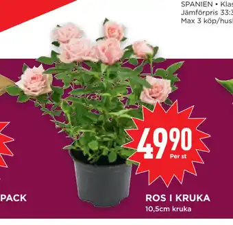 Willys Hemma ROS I KRUKA erbjuda