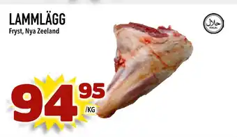 LAMMLÄGG