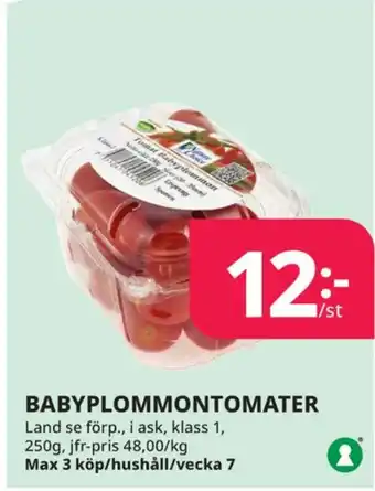 Tempo Nature choise plommontomater erbjuda