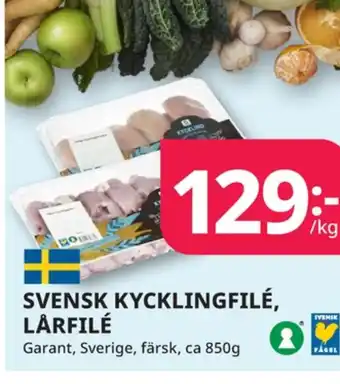 Tempo Garant kycklinglårfile erbjuda
