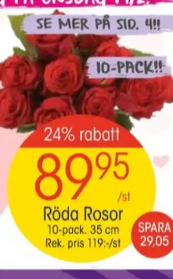 EKO Eko blommor erbjuda