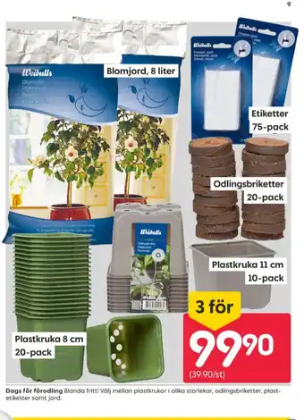 Rusta Weibull plantetikett erbjuda