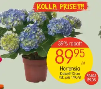 EKO Eko plantor erbjuda