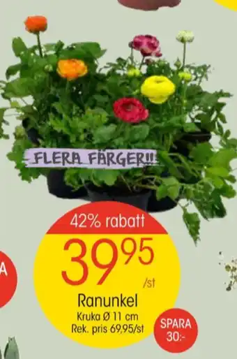 EKO Eko plantor erbjuda
