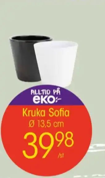 EKO Eko krukor erbjuda