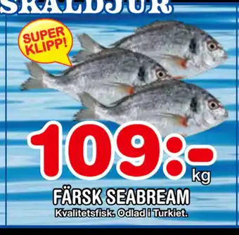 Nya Pulsen FÄRSK SEABREAM erbjuda