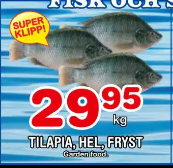 Nya Pulsen TILAPIA, HEL, FRYST erbjuda
