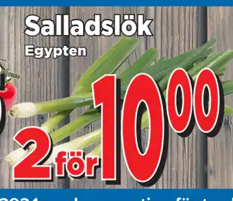 Supergrossen Salladslök erbjuda