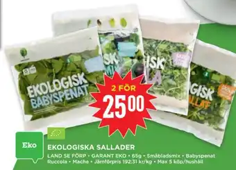 Willys EKOLOGISKA SALLADER erbjuda