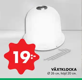 ÖoB VÄXTKLOCKA erbjuda