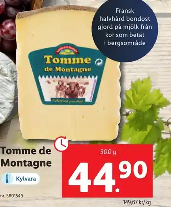 Tomme de Montagne