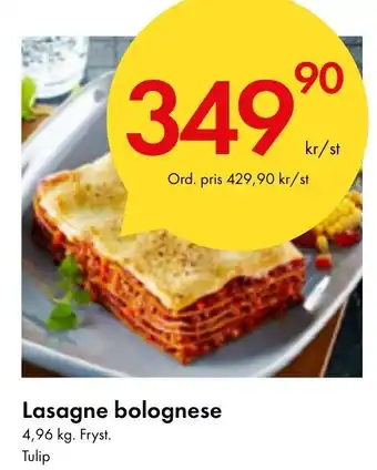 Snabbgross Lasagne bolognese erbjuda
